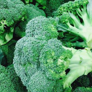 ब्रोकली (Broccoli)