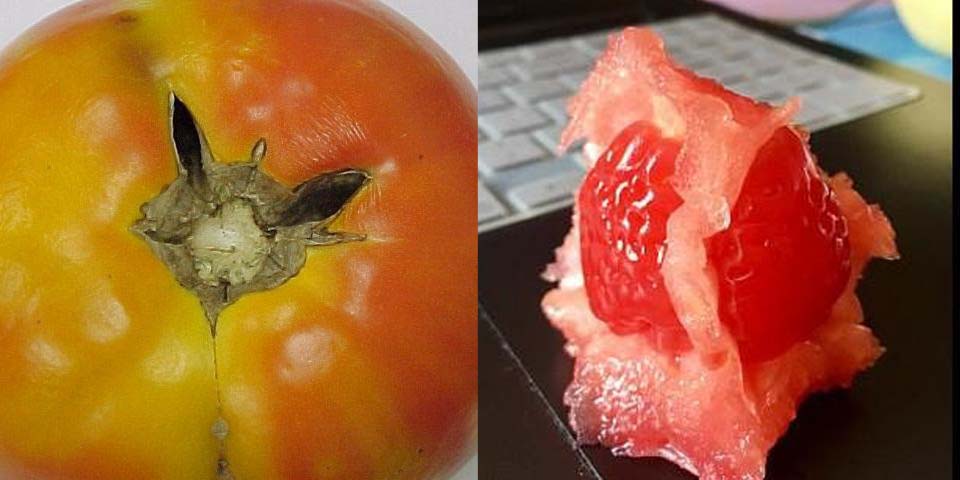 strawberry inside tomato